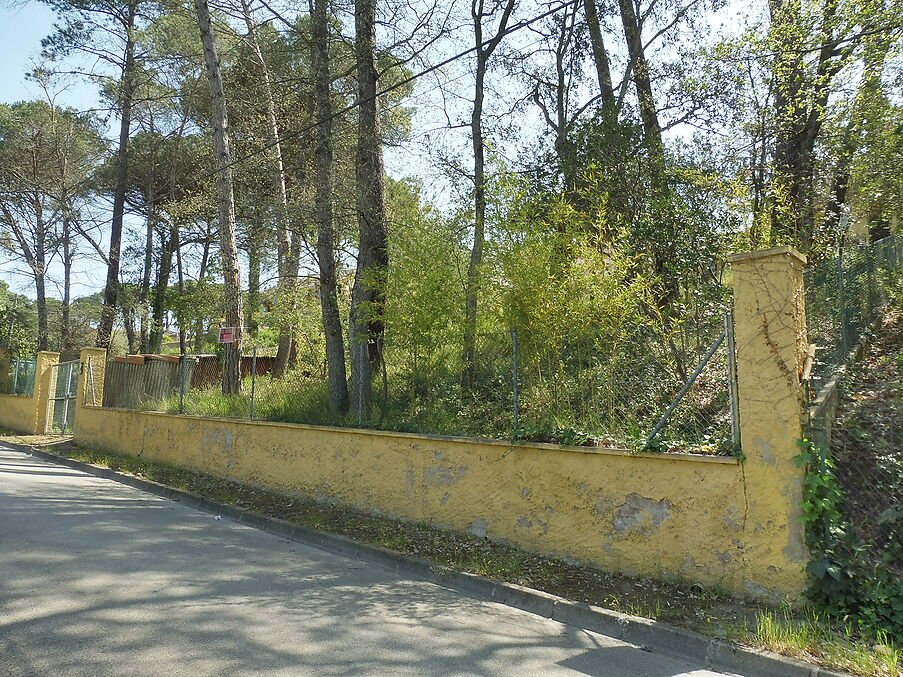 Terreny en venda a Maçanet de la Selva