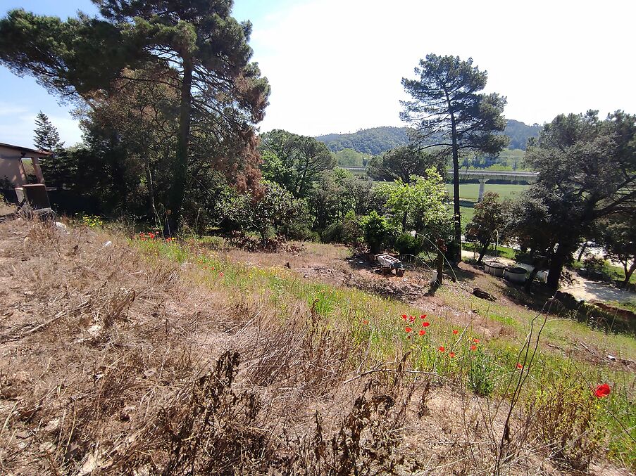 Terreny en venda a Massanes