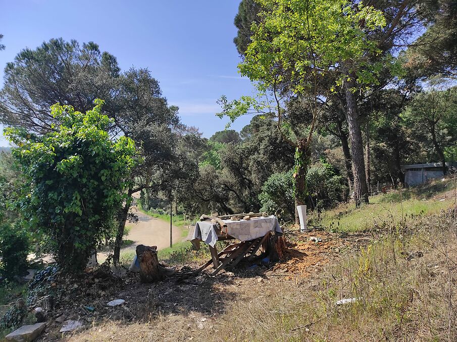 Terreny en venda a Massanes