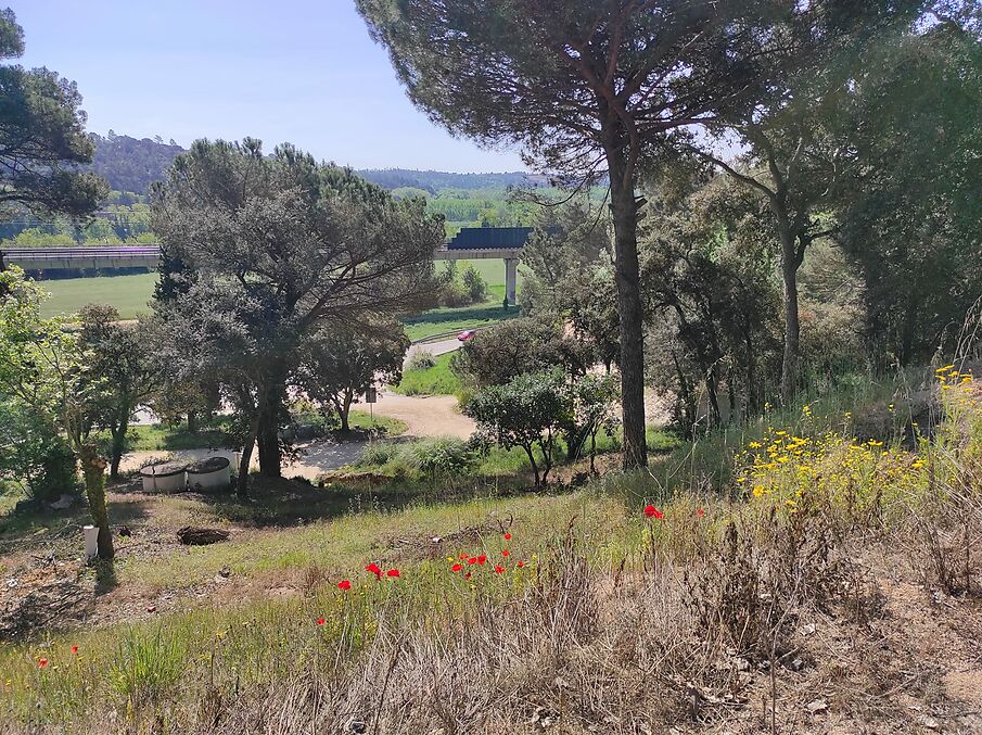 Terreny en venda a Massanes