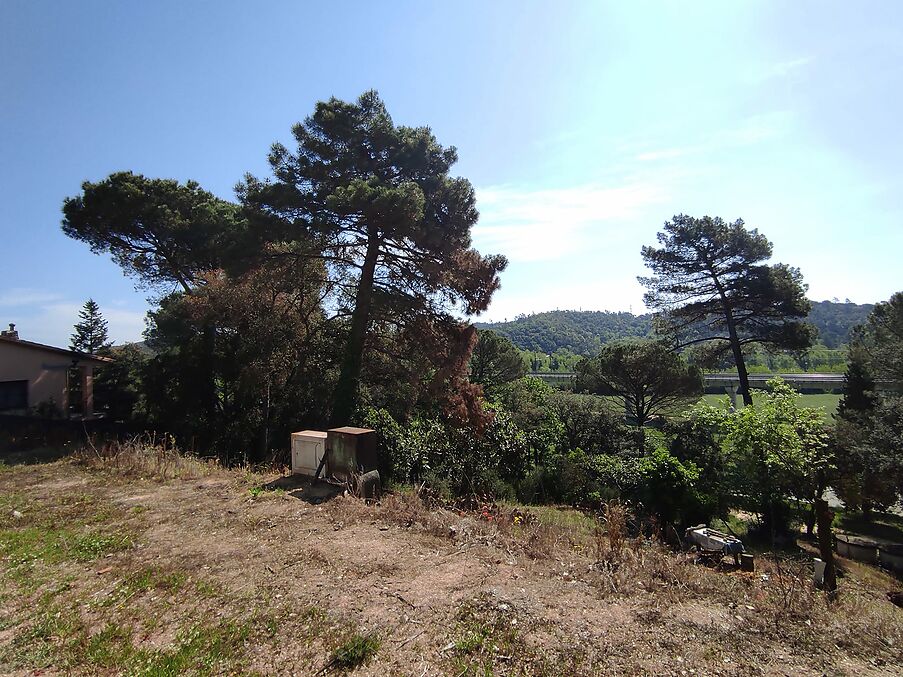 Terreny en venda a Massanes