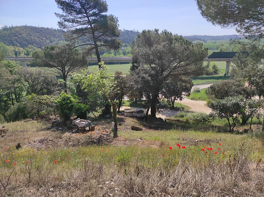 Terreny en venda a Massanes