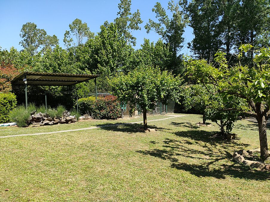 Finca rústica en venda a Maçanet de la Selva
