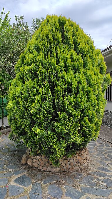 Torre en venda a Riudarenes