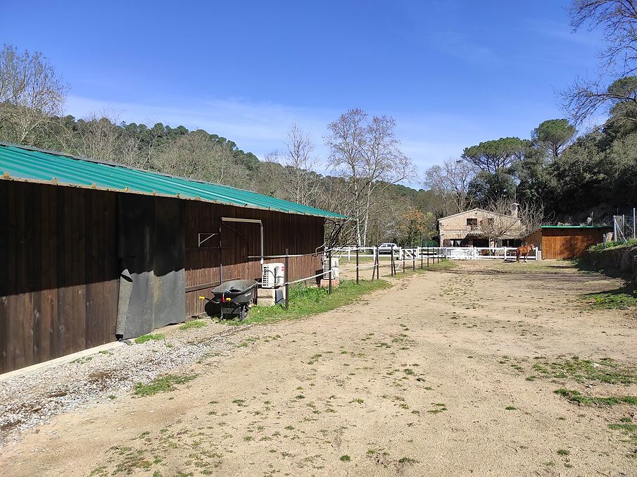 Masía en venta a Fogars de la Selva