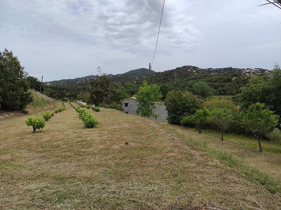 Masia en venda a Tordera