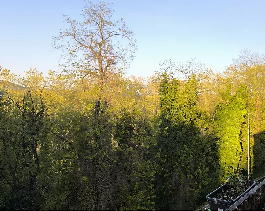 PIS EN VENDA A HOSTALRIC