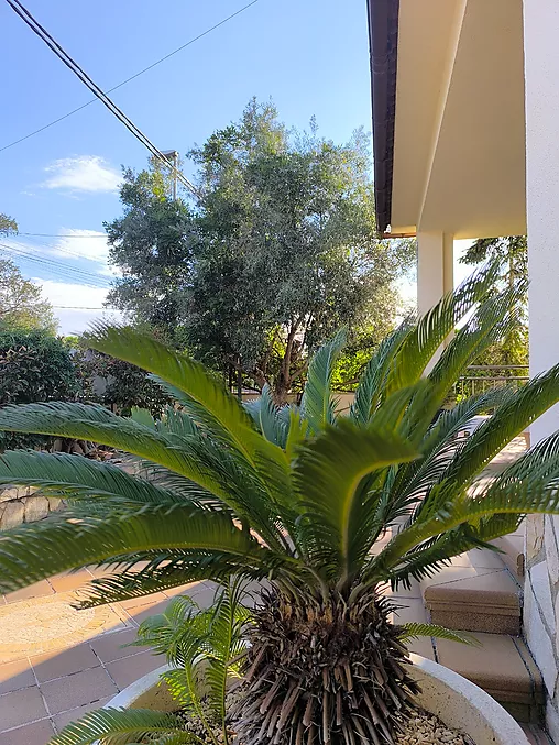 MAGNÍFICA TORRE EN VENTA EN LA ZONA DE TORDERA