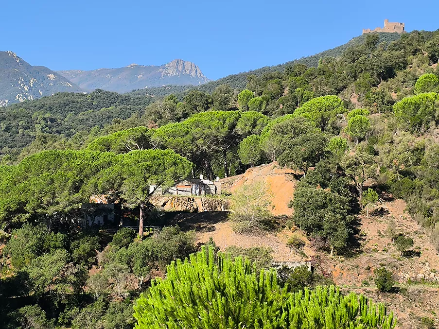 Torre en venda a Sant Feliu de Buixalleu