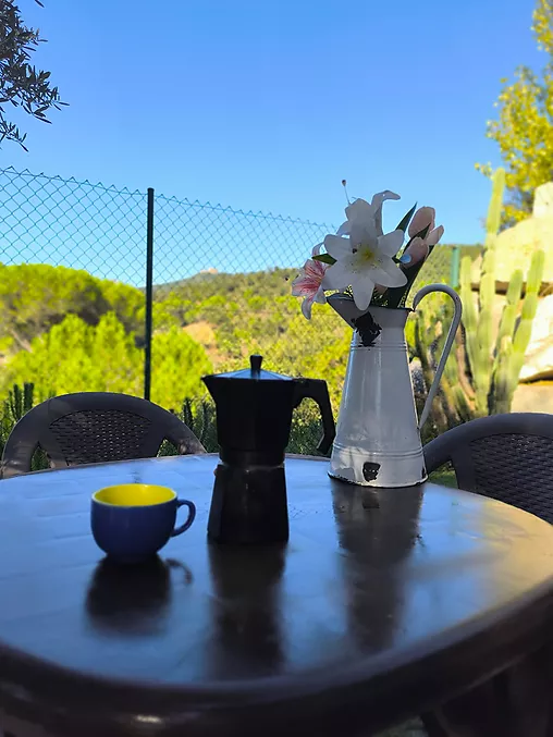 Torre en venda a Sant Feliu de Buixalleu