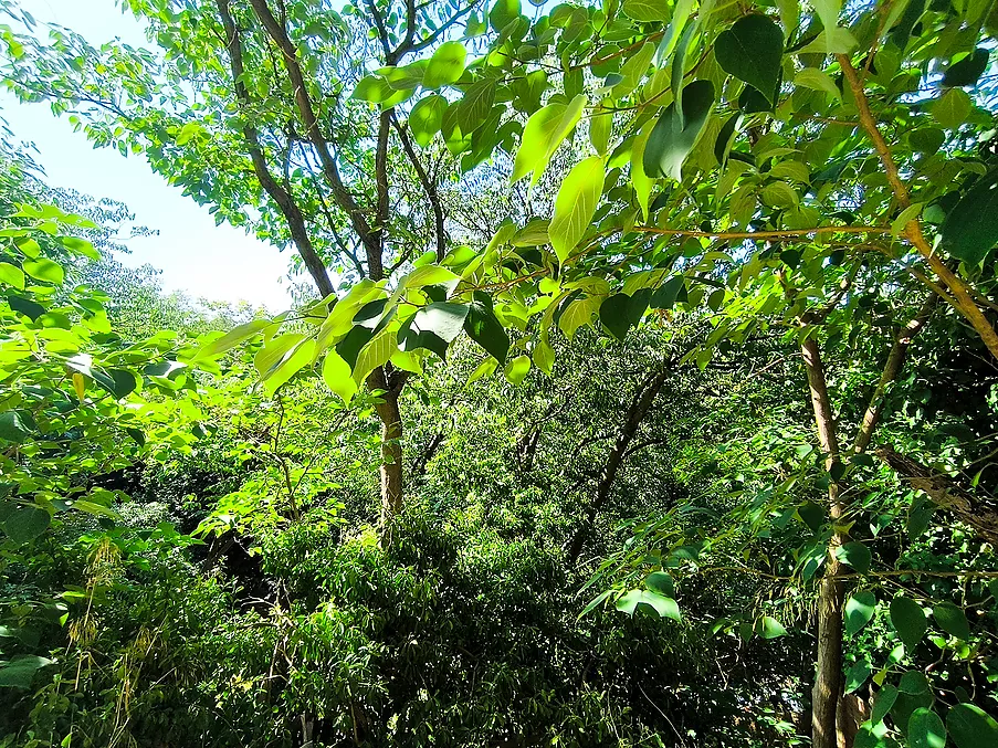 CASA DE POBLE EN VENDA A HOSTLARIC